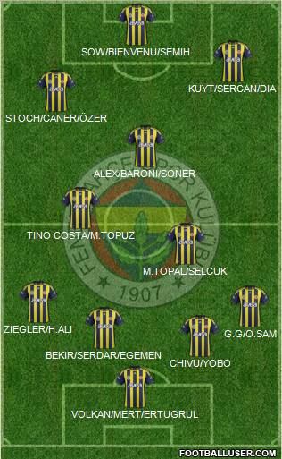 Fenerbahçe SK Formation 2012