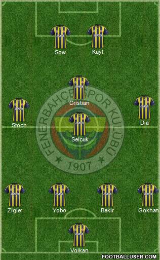 Fenerbahçe SK Formation 2012