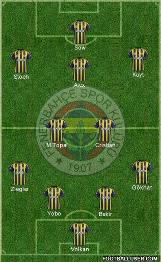 Fenerbahçe SK Formation 2012