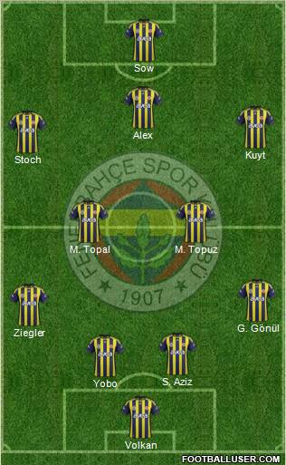 Fenerbahçe SK Formation 2012