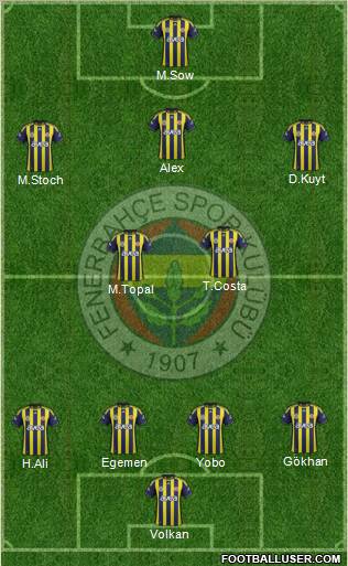 Fenerbahçe SK Formation 2012