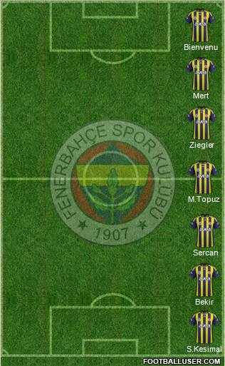 Fenerbahçe SK Formation 2012