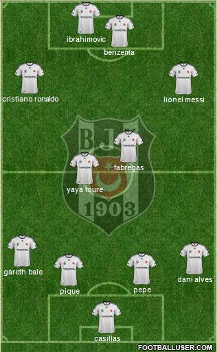 Besiktas JK Formation 2012