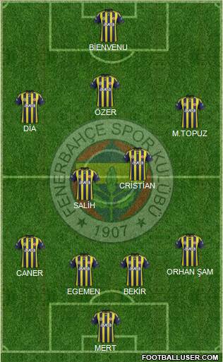 Fenerbahçe SK Formation 2012