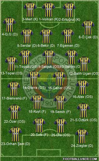 Fenerbahçe SK Formation 2012
