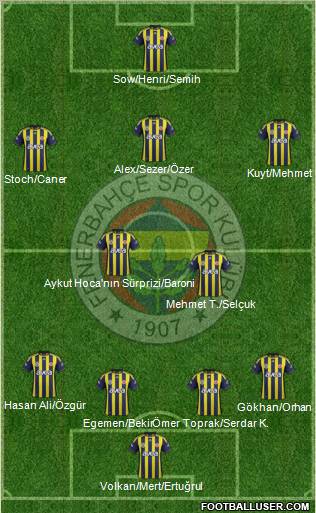 Fenerbahçe SK Formation 2012