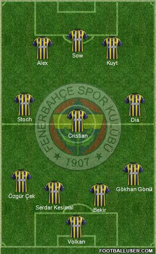 Fenerbahçe SK Formation 2012