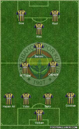 Fenerbahçe SK Formation 2012