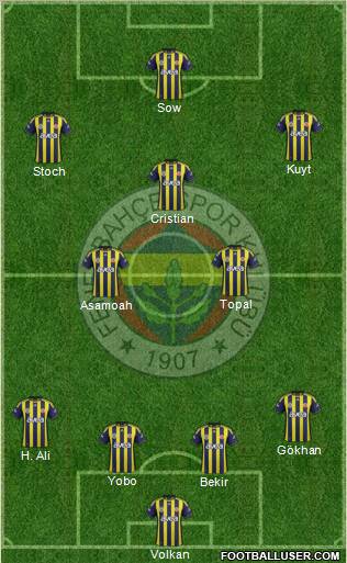 Fenerbahçe SK Formation 2012