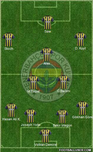 Fenerbahçe SK Formation 2012