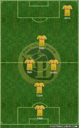 BSC Young Boys Formation 2012