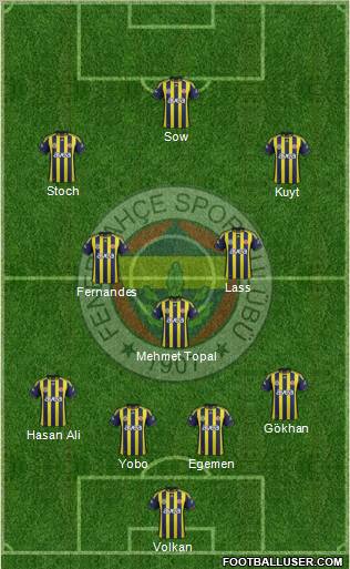 Fenerbahçe SK Formation 2012