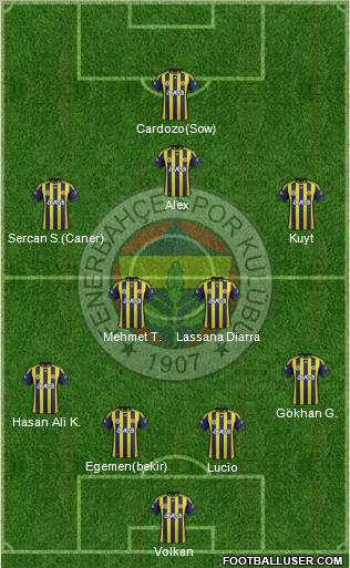 Fenerbahçe SK Formation 2012