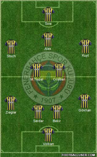 Fenerbahçe SK Formation 2012