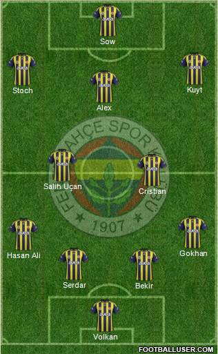 Fenerbahçe SK Formation 2012