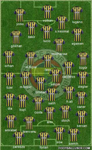 Fenerbahçe SK Formation 2012