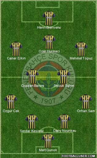 Fenerbahçe SK Formation 2012