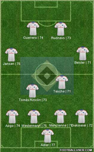 Hamburger SV Formation 2012