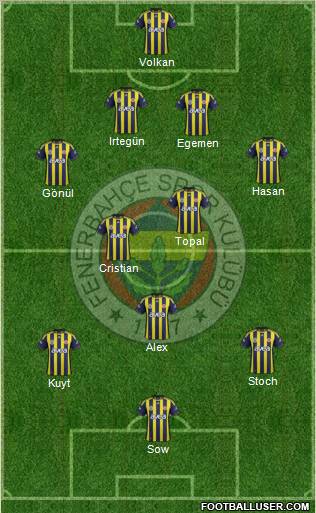 Fenerbahçe SK Formation 2012