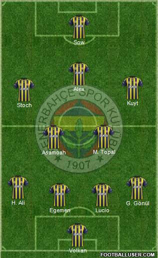 Fenerbahçe SK Formation 2012