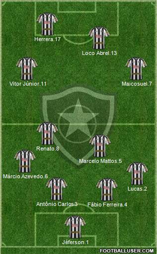 Botafogo FR Formation 2012