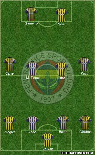 Fenerbahçe SK Formation 2012