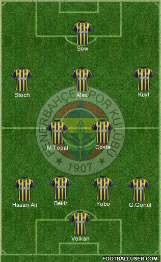 Fenerbahçe SK Formation 2012