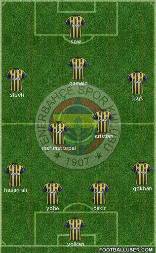 Fenerbahçe SK Formation 2012