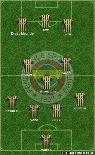 Fenerbahçe SK Formation 2012