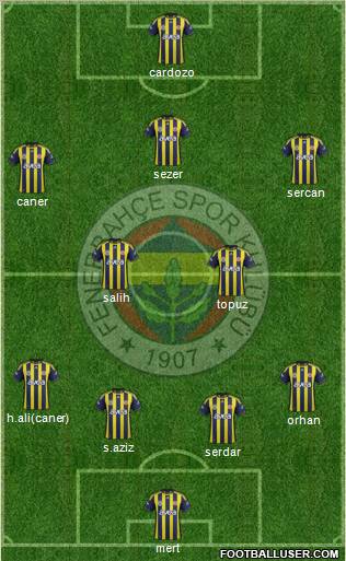 Fenerbahçe SK Formation 2012