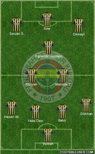 Fenerbahçe SK Formation 2012