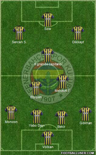 Fenerbahçe SK Formation 2012