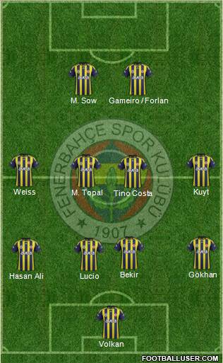 Fenerbahçe SK Formation 2012