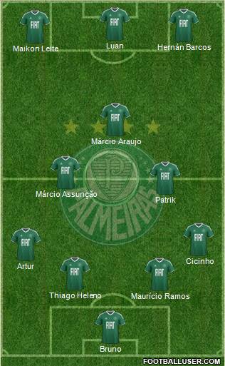 SE Palmeiras Formation 2012