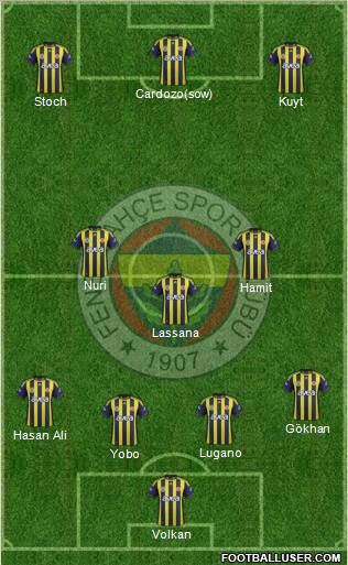 Fenerbahçe SK Formation 2012