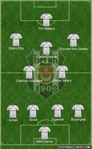 Besiktas JK Formation 2012