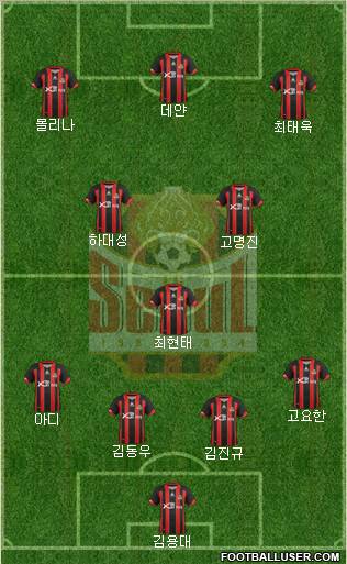 FC Seoul Formation 2012