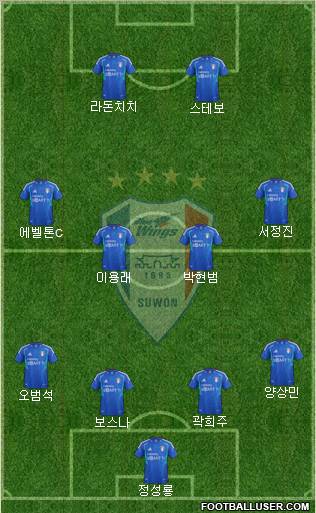 Suwon Samsung Blue Wings Formation 2012