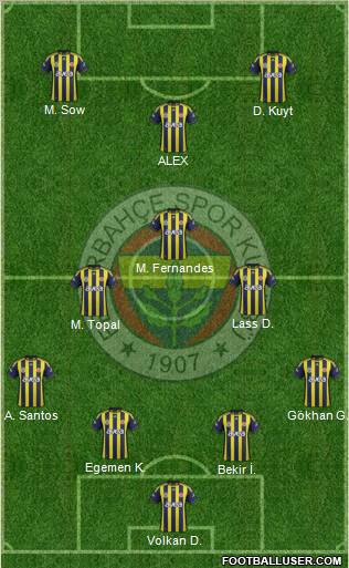 Fenerbahçe SK Formation 2012