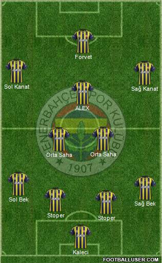 Fenerbahçe SK Formation 2012