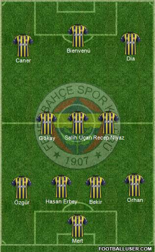 Fenerbahçe SK Formation 2012