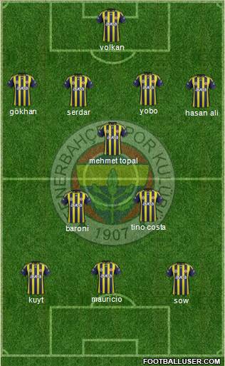 Fenerbahçe SK Formation 2012