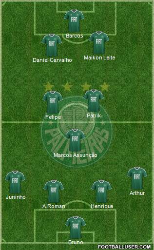 SE Palmeiras Formation 2012