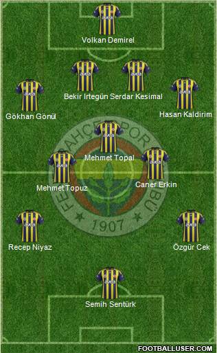 Fenerbahçe SK Formation 2012