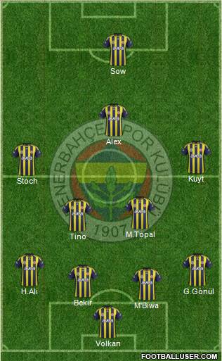 Fenerbahçe SK Formation 2012