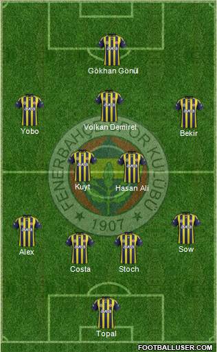 Fenerbahçe SK Formation 2012