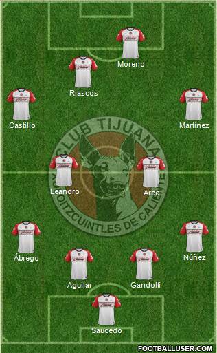 Xoloitzcuintles de Tijuana Formation 2012