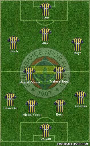 Fenerbahçe SK Formation 2012
