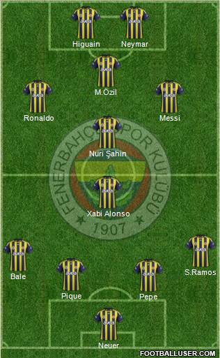 Fenerbahçe SK Formation 2012