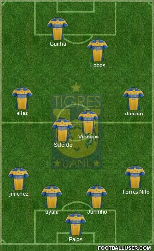 Club Universitario de Nuevo León Formation 2012